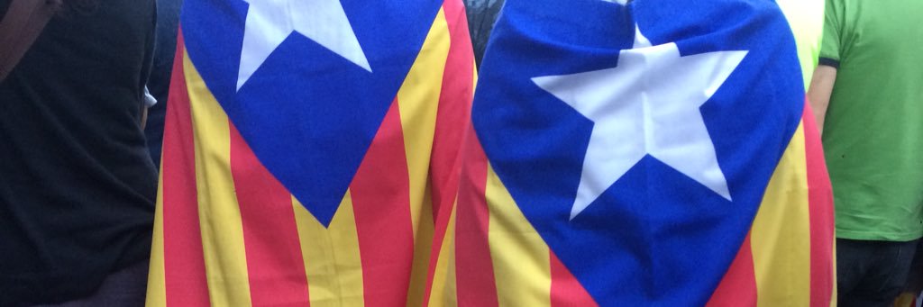 lamusiseta's profile banner image