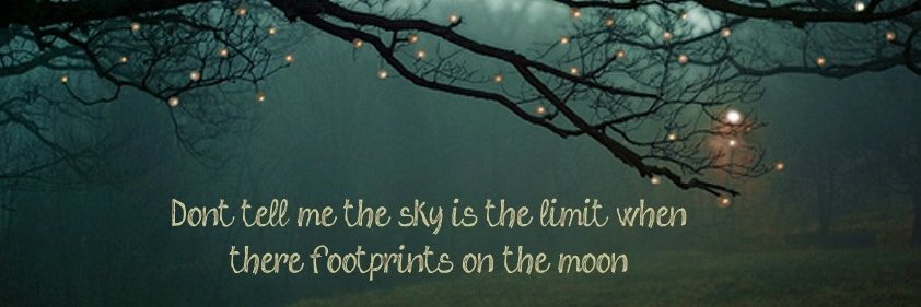 Anne Sterenberg banner