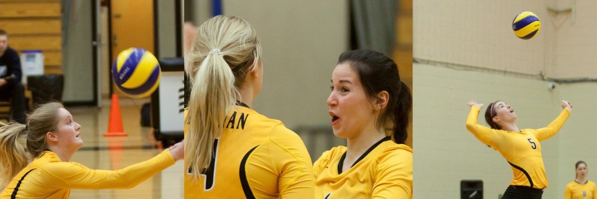 CambrianWVB's profile banner image