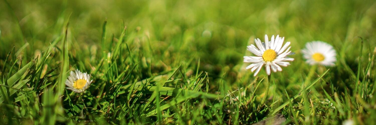 Chris Gorgolewski banner