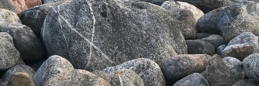 Lotta Savinko banner