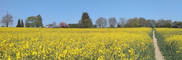 IsabelleSimsPhD Profile Banner