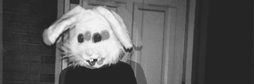 Tusicdevour's profile banner image