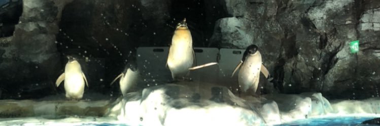 ずんどこ banner
