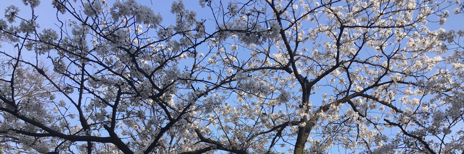 otobokekd's profile banner image