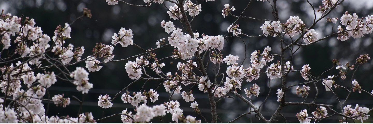 lye_'s profile banner image