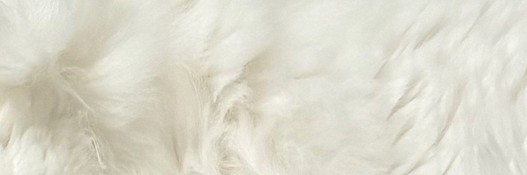 o_10p's profile banner image