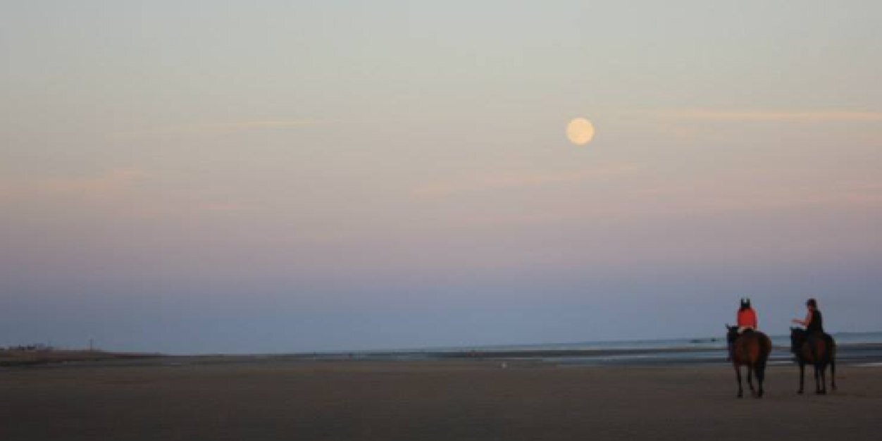 omorashi best movies banner