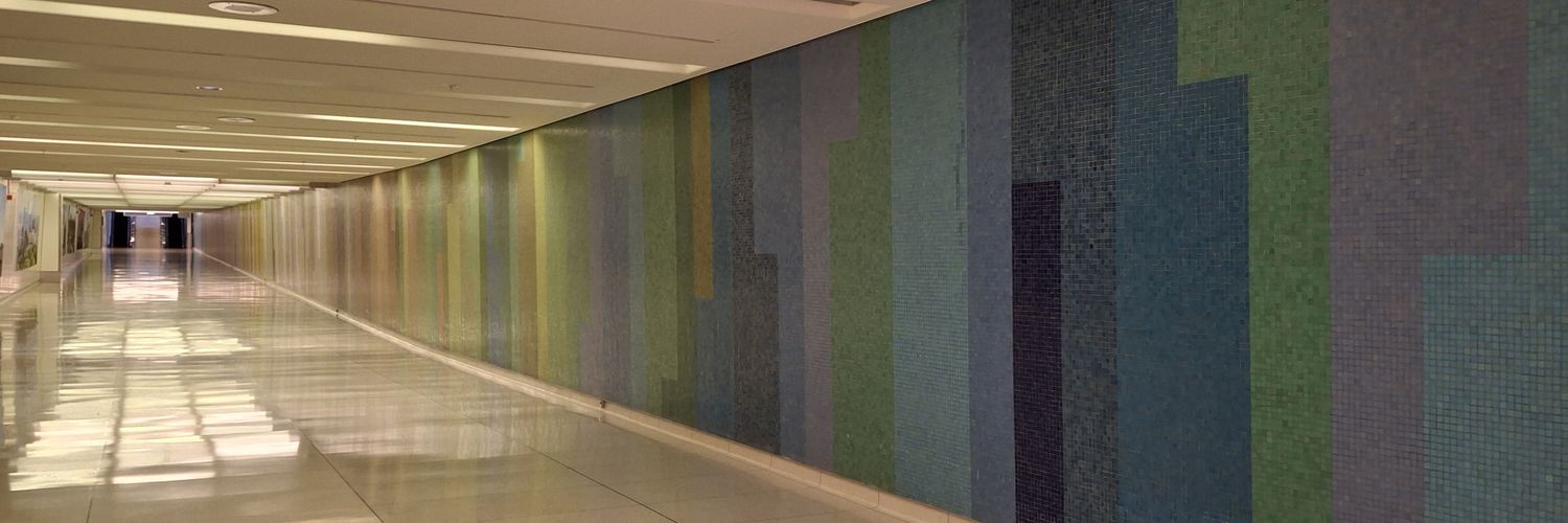 Ellen S. Boyne banner