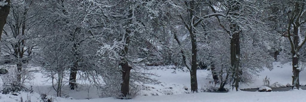 GaryALittle's profile banner image