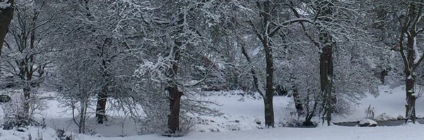 GaryALittle Profile Banner