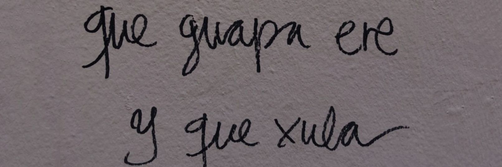 olga polic ruiz banner
