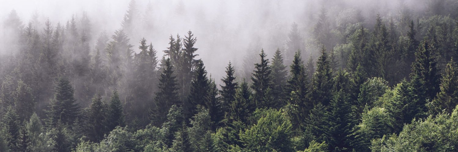 F.I. Squirrel banner