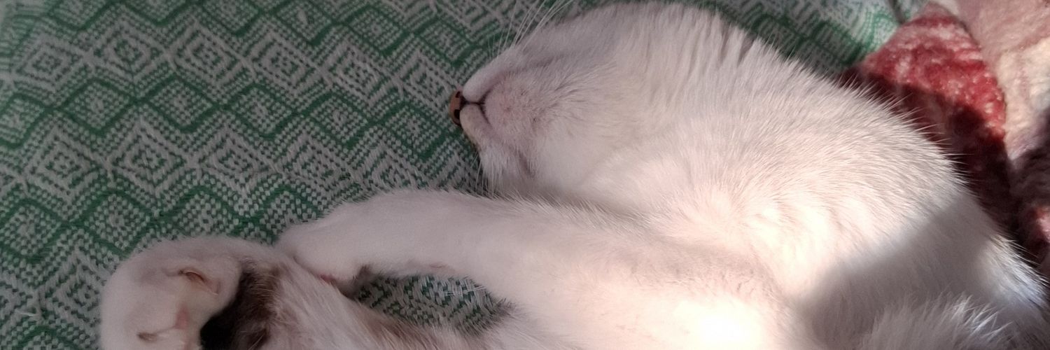fadopj_'s profile banner image