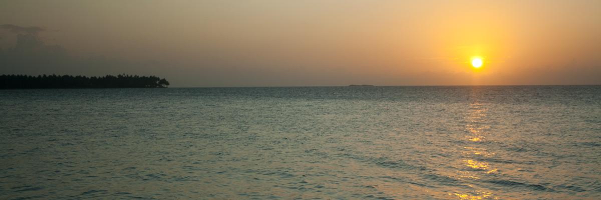 digitalcoco's profile banner image