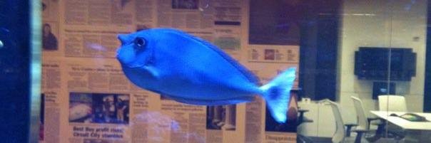 Suzanne Woolley banner