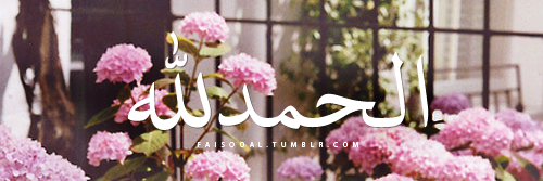 IeyqaAdam's profile banner image