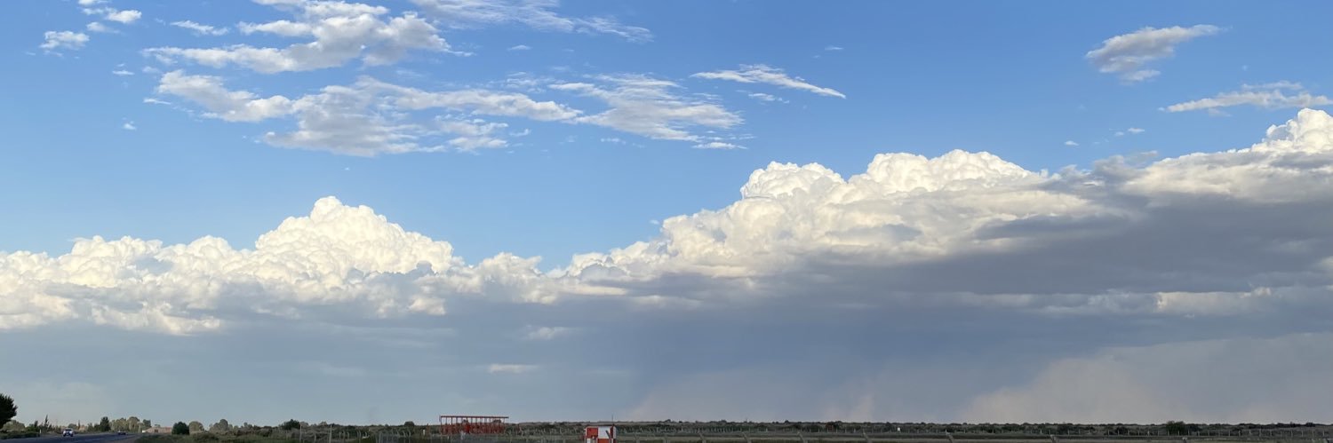 Daniel 56% 🦁 banner