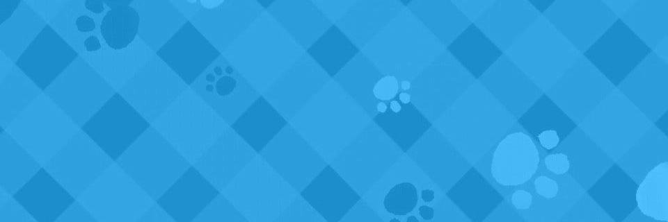 koolpaw's profile banner image