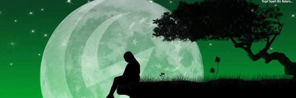 sfaydin's profile banner image