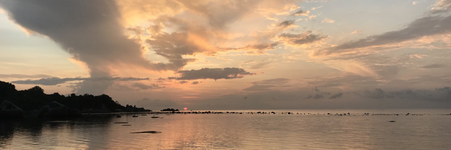 Devon Rossetti banner