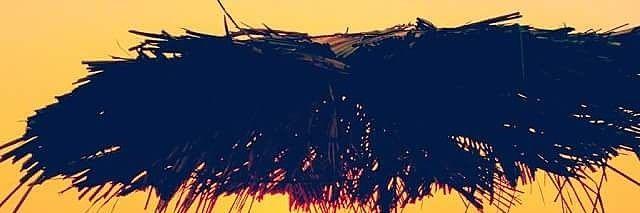 lewin1003's profile banner image