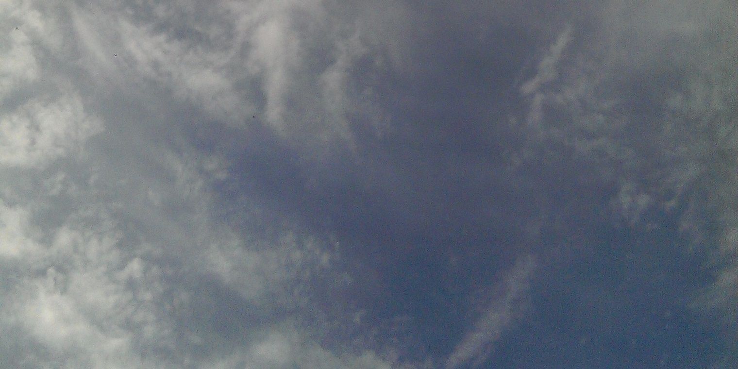 Mary Frances Ryan banner