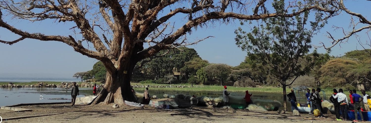ብሩህ / Biruh banner