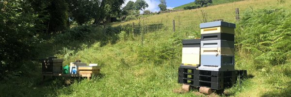 TylaGlasBees Profile Banner