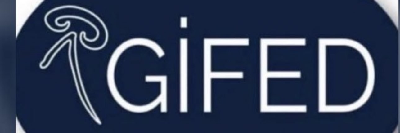 oya_eroglu's profile banner image