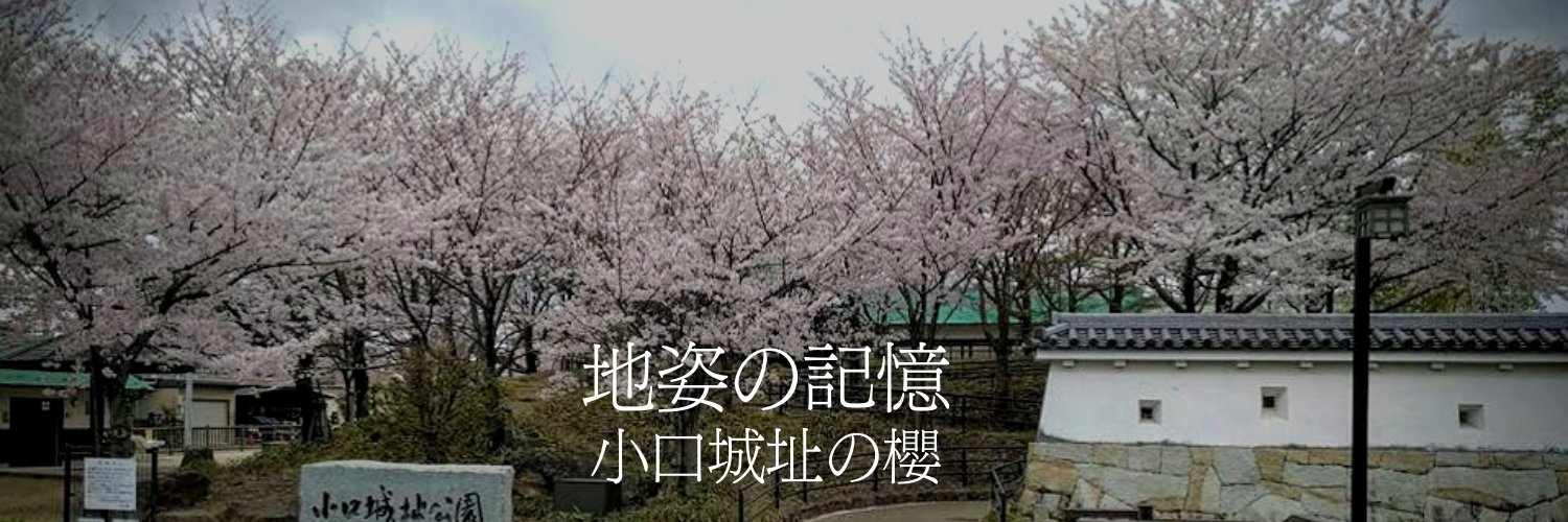 小口善左衛門📷️地姿の記憶✒️或は流文 banner