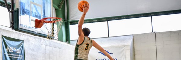 bbrovvn Profile Banner