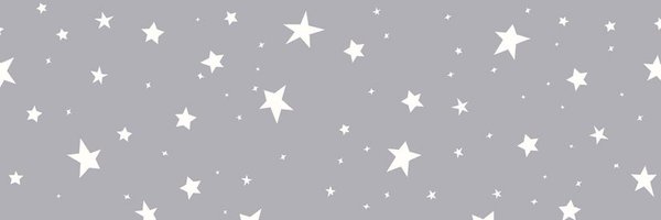 AinsleyErzen Profile Banner