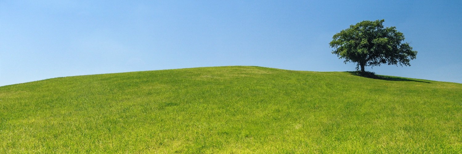 moseshohman's profile banner image