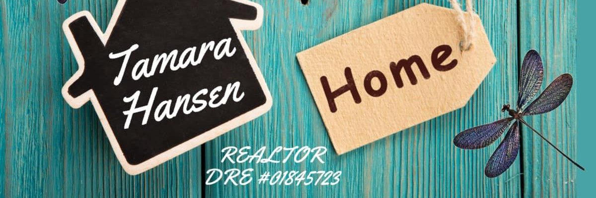 TamaraHansen7's profile banner image