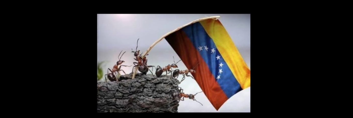 LIBERTAD_777's profile banner image