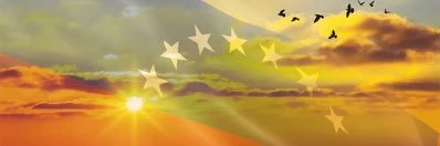 Luis Miguel Pinto banner