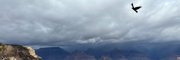 TGT_avery Profile Banner