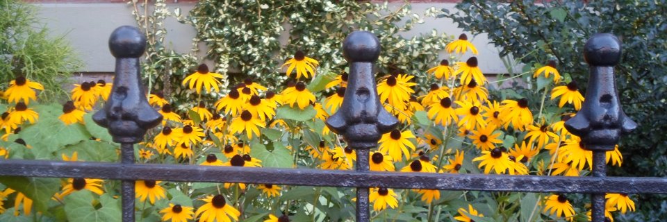 MainStrasseKY's profile banner image
