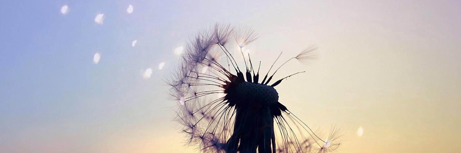 LorinX's profile banner image