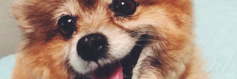 calmyourtitss's profile banner image