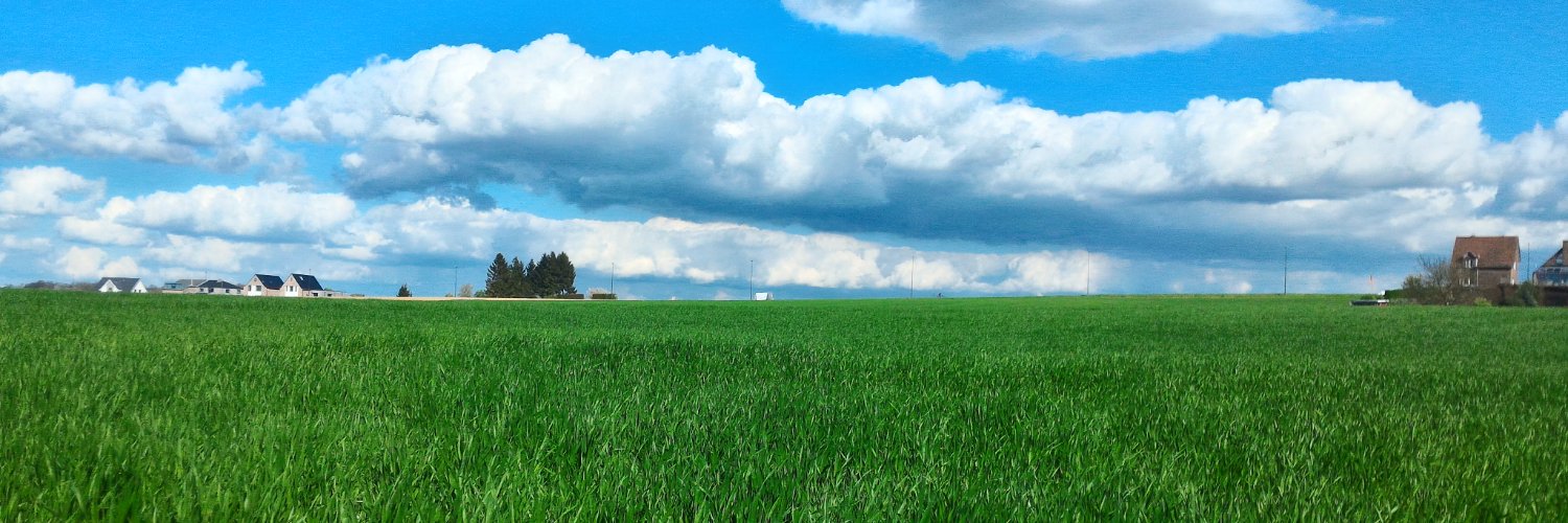 LCAMUNCOLI's profile banner image