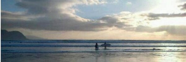 shannonsweeney2 Profile Banner