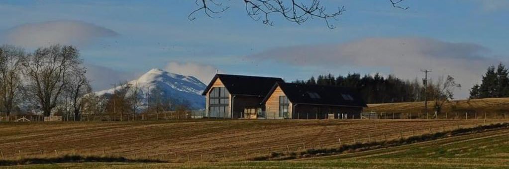 simone lahbib banner