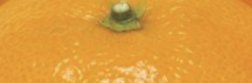 nl4gj's profile banner image