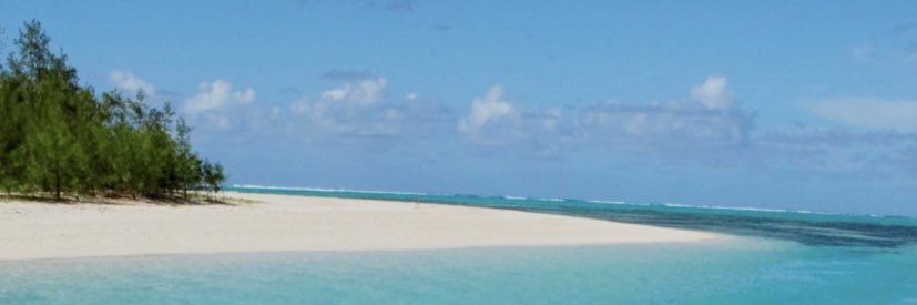 jeanmi7's profile banner image