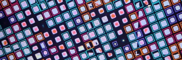 IngaTrails Profile Banner
