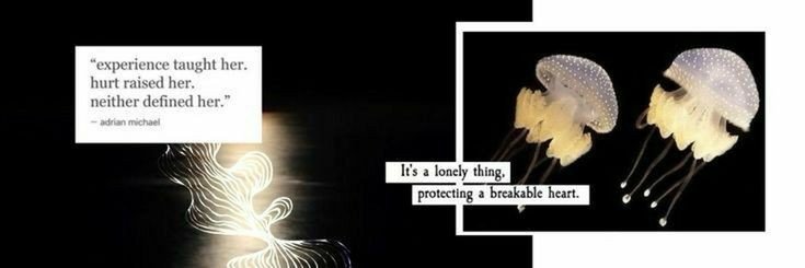 salbruut's profile banner image