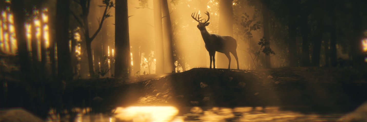 pauldivz's profile banner image
