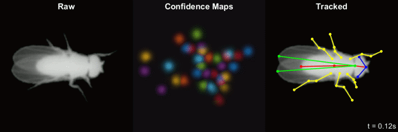 Joshua Shaevitz banner